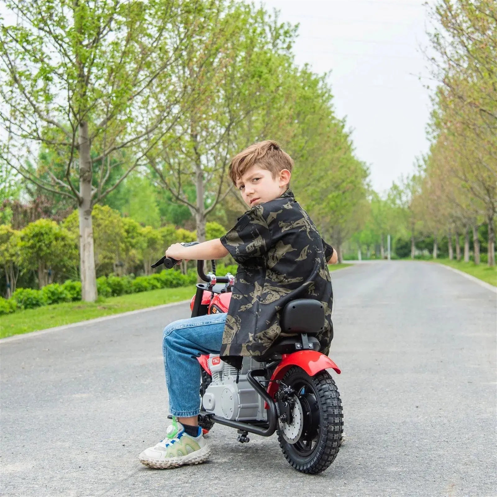 36V Freddo E-Chopper, Leather Seat, Rubber Air Wheels, Brushless Motor - BIG FRENCHIES