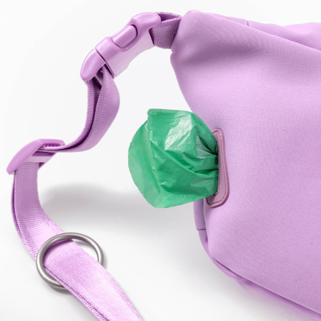 Hands-Free Dog Walking Bag with 4ft Leash - BIG FRENCHIES