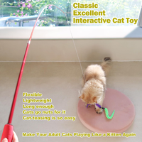 Cat Toys For Indoor Cats, Interactive Cat Toy 2PCS Retractable Wand Toy And 9PCS Cat Feather Toys Refills, Funny Kitten 