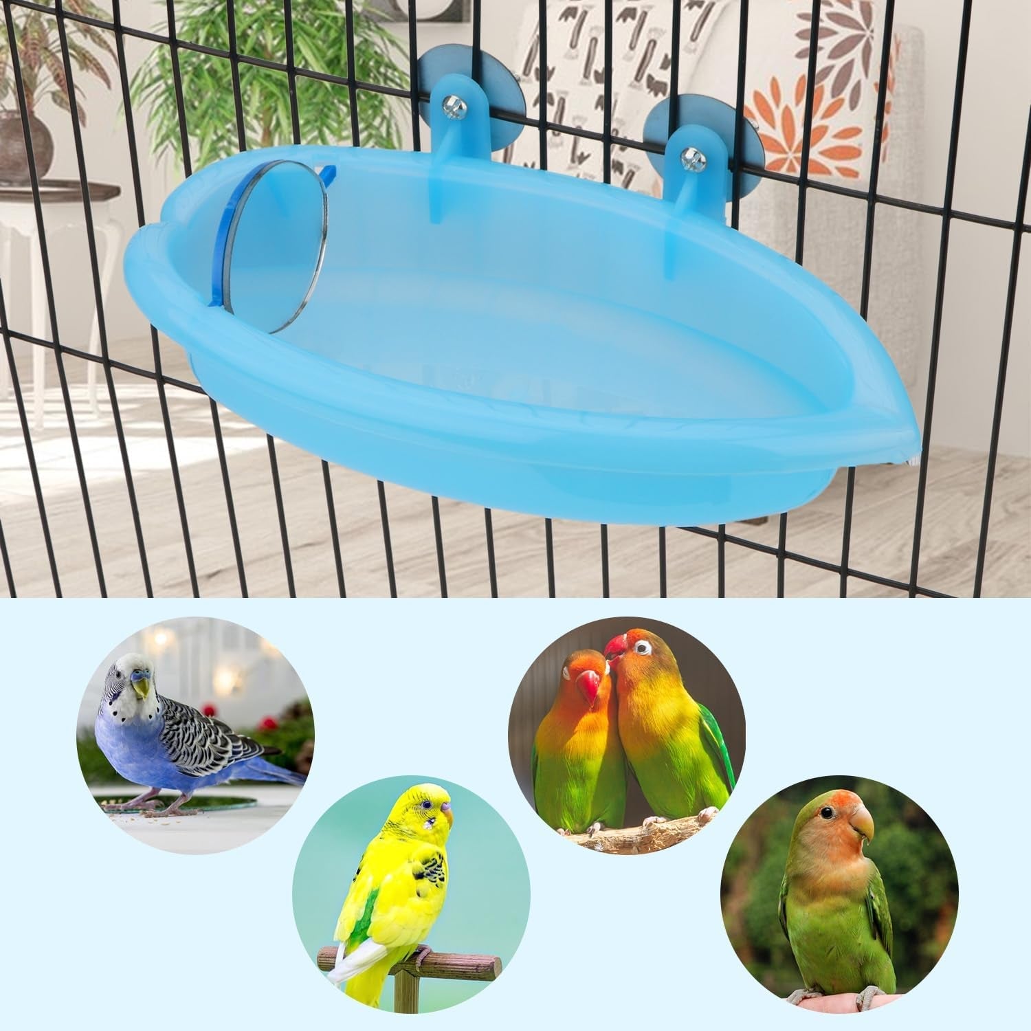 Bird Bath with Mirror Portable - BIG FRENCHIES