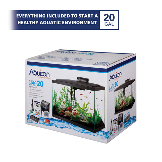 20 Gallon aquarium Starter Kit with LED Lighting - BIG FRENCHIES