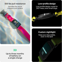 Fi Series 3+ Smart GPS Dog Tracker Collar Health Monitor Waterproof LED