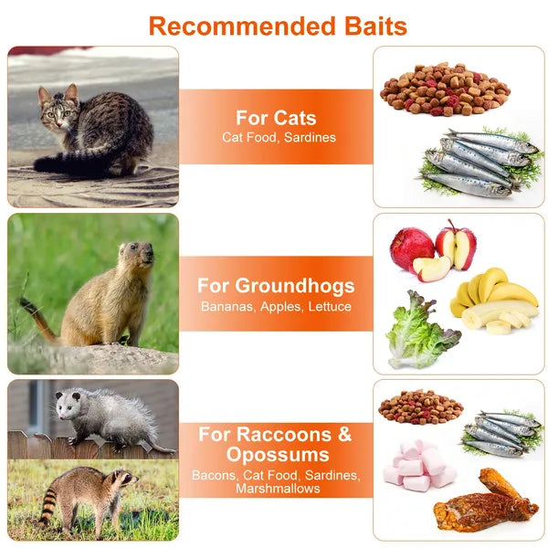 Humane Cat Trap Cage Catch Release Live Animal Rodent Cage Collapsible Galvanized Wire For Raccoons Beavers Groundhogs F