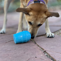 Ice Cream Cone Rubber Dog Chew Toy for Power Chewers | USA Made | SodaPup - BIG FRENCHIES