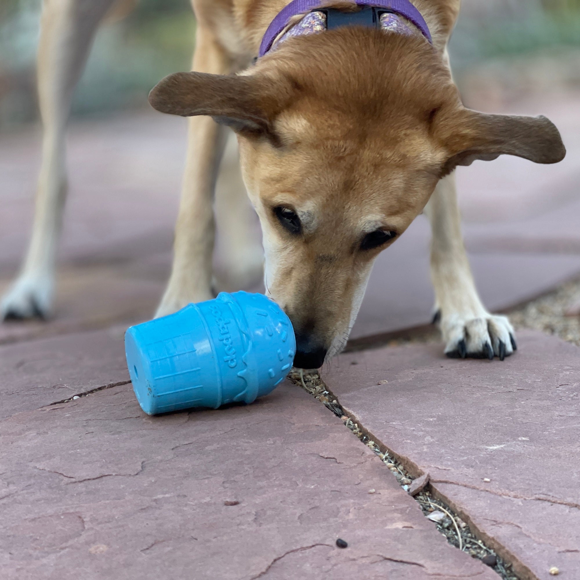 Ice Cream Cone Rubber Dog Chew Toy for Power Chewers | USA Made | SodaPup - BIG FRENCHIES