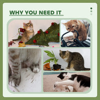 47" Tall Cat Tree Tower with Condo, Ladder, Scratching Posts and Hanging Ball, Green
