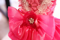 Elegant Hot Pink Lace Dog Party Dress