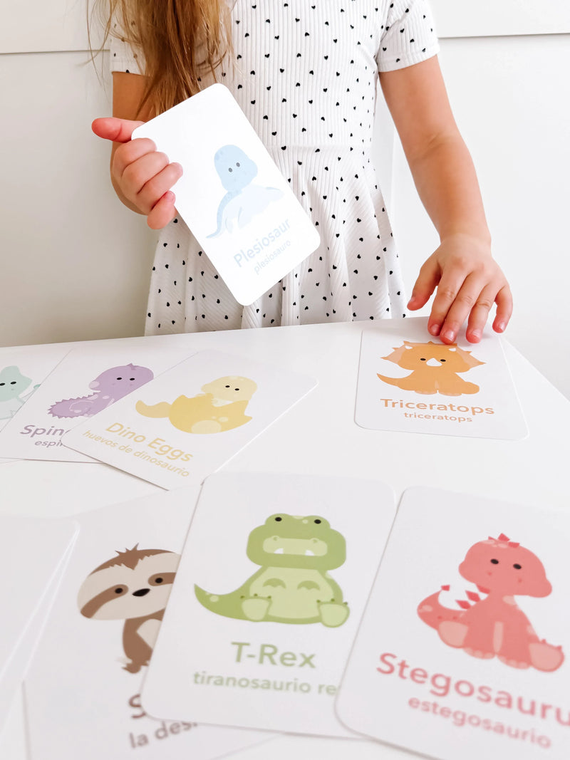 Dinosaur Flashcards - BIG FRENCHIES
