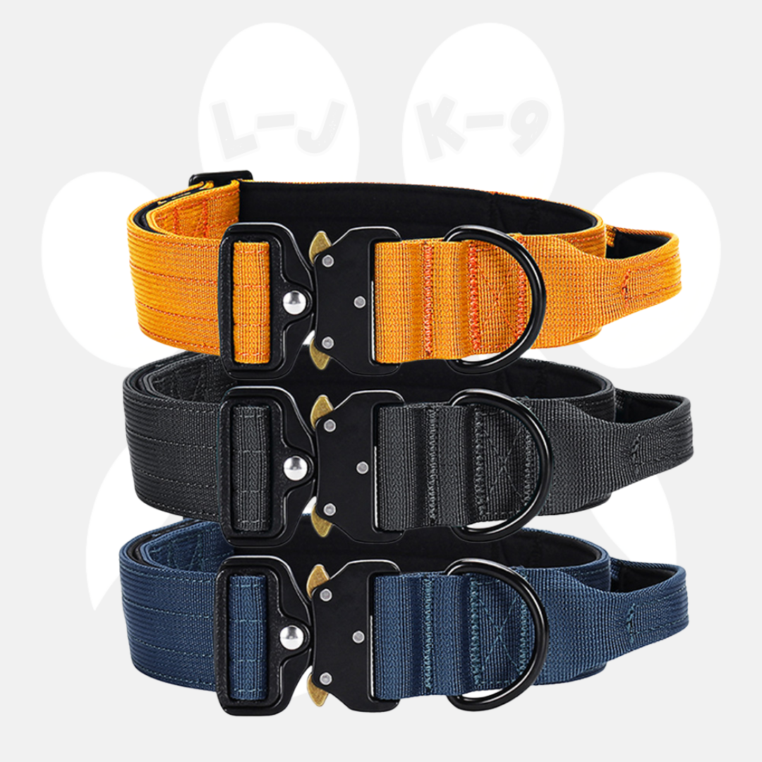 Luxury Sleek Padded Dog Collar-Standard Collars-BIG FRENCHIES-LeonaJ K-9 Co.™ | LJM American Brand | LeonaJmarie