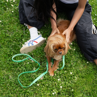 Waterproof Dog Leash - 5ft - BIG FRENCHIES
