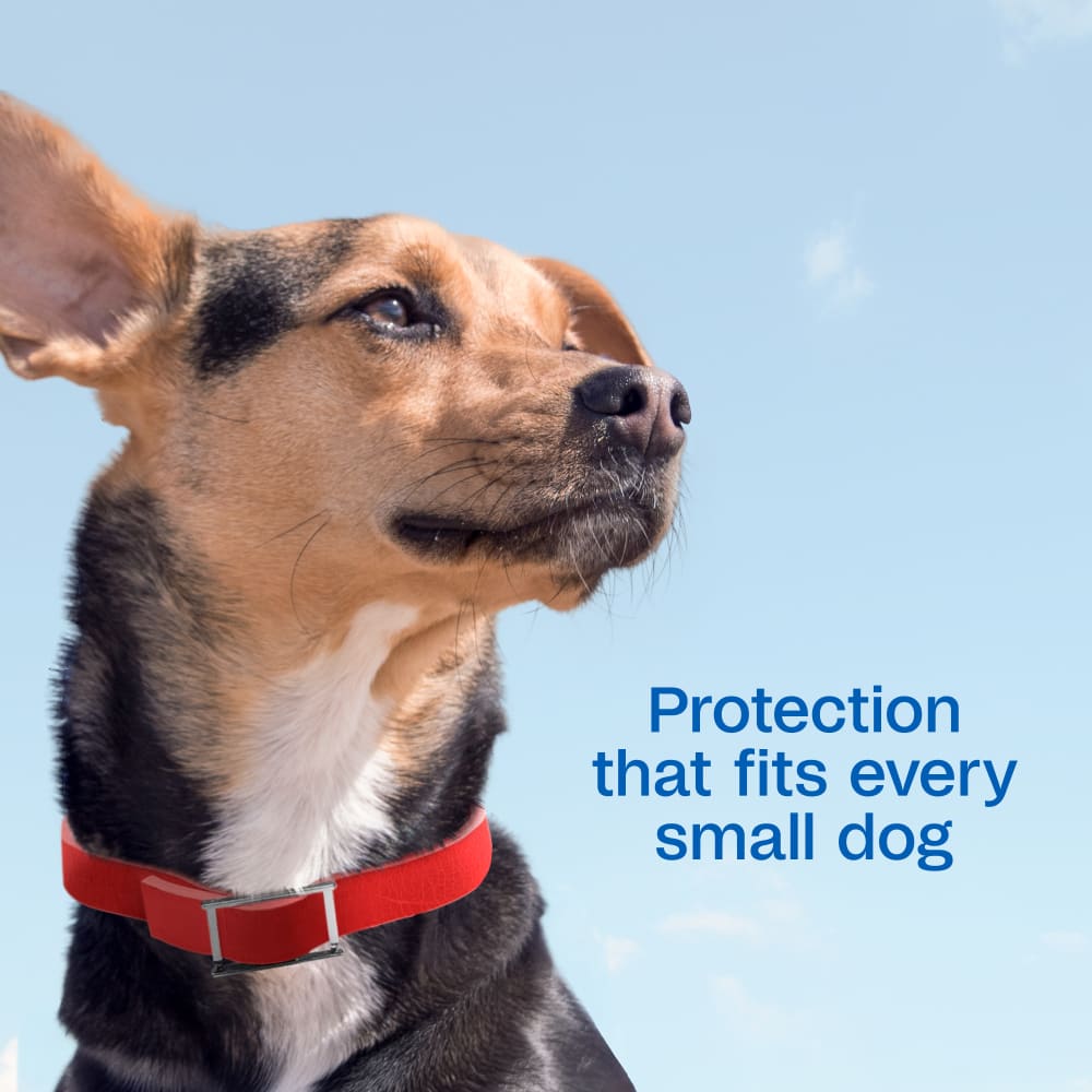 Adams Plus Flea & Tick Collar for Small Dogs & Puppies 7 Month Protection
