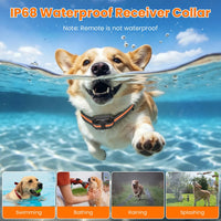 Dog Training Collar with Remote Rechargeable Dog Training Collar IP68 Waterproof with 4 Training Modes 3 Channels for Me