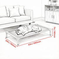 Elevated Dog Bed for Bedroom