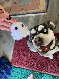 Ghost Keychain Learn to Crochet Kit