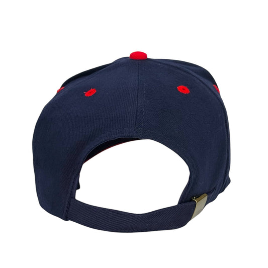 I Only Love 2 Things Hat Custom Embroidered
