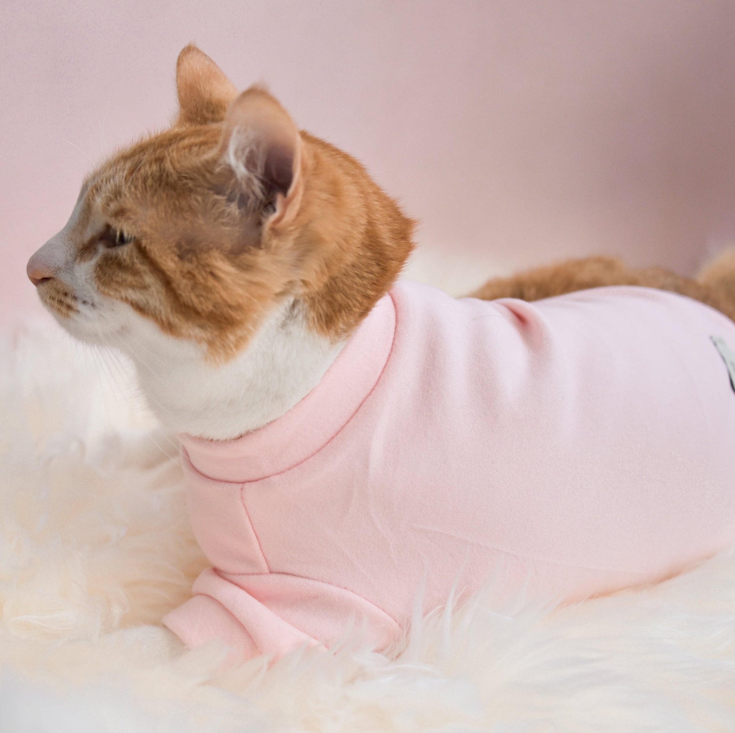 “Spoiled” Mock Neck Shirt - Cupid’s Blush