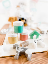 Vet Clinic Dramatic Play