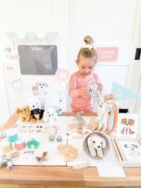 Vet Clinic Dramatic Play