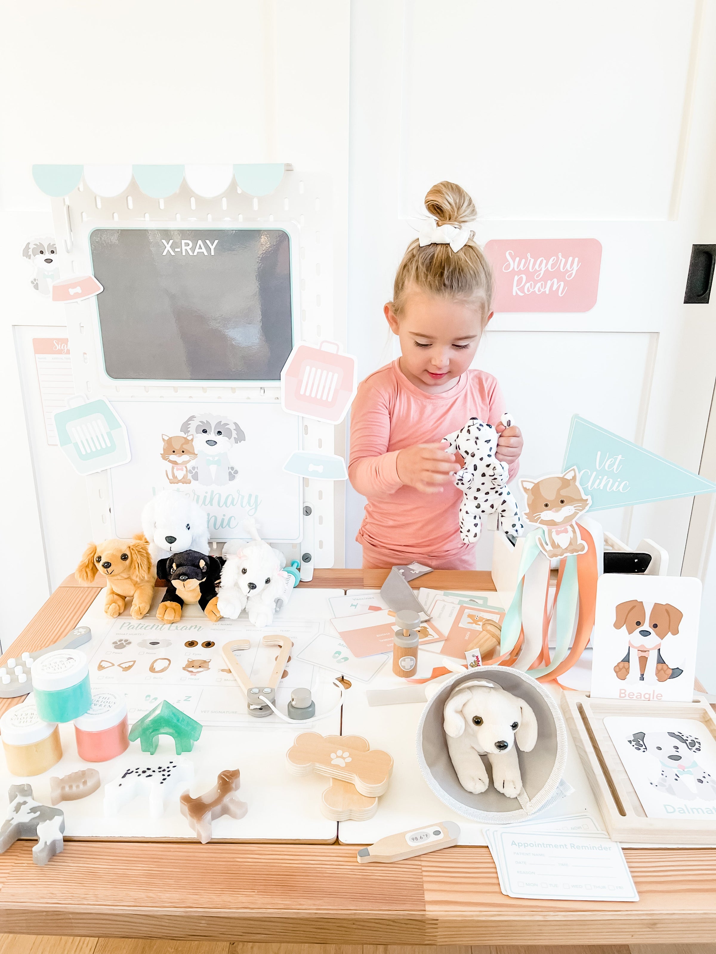 Vet Clinic Dramatic Play