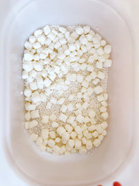 Tooth Fairy Printable Dramatic Play