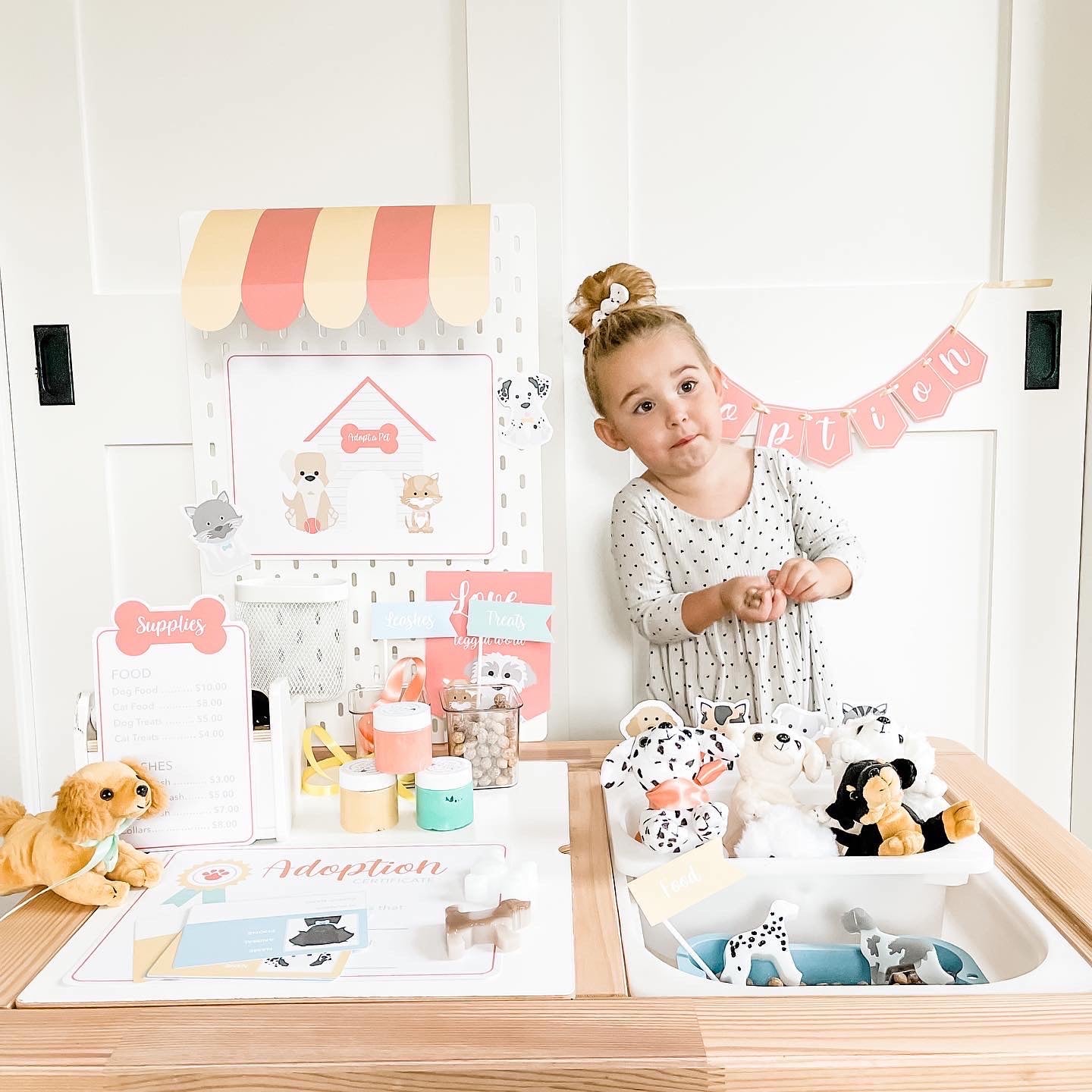 Pet Adoption Clinic Dramatic Play