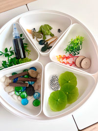 Pond Life Cycle Sensory Kit And Water Play - BIG FRENCHIES