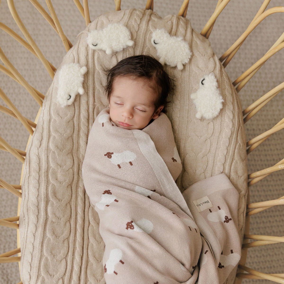 Whimsy Collection - Luxury 100% Cotton Knit Swaddle Baby Blanket - BIG FRENCHIES
