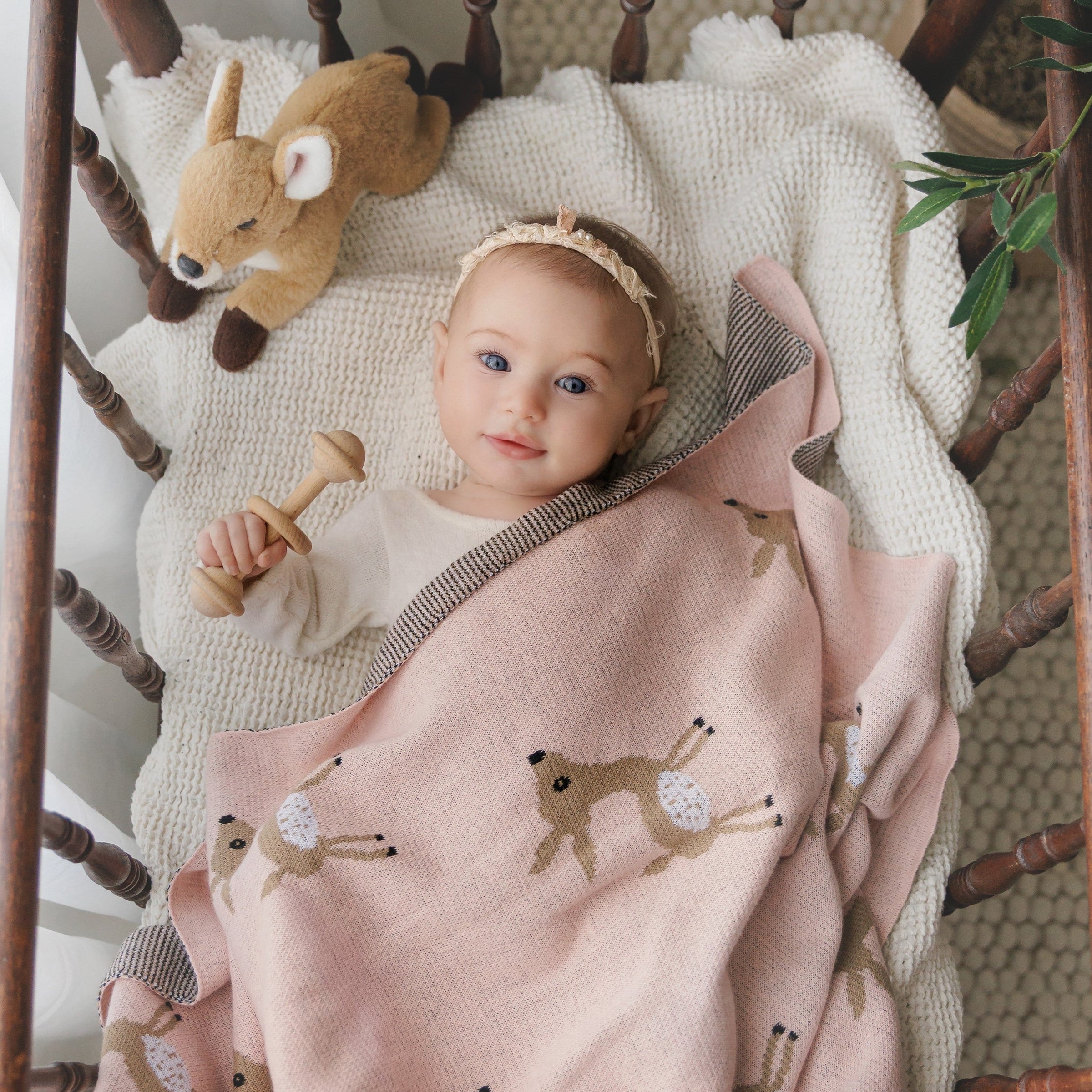 Whimsy Collection - Luxury 100% Cotton Knit Swaddle Baby Blanket