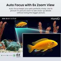 3MP 2K Aquarium & Terrarium Pet Camera w/ Night Vision & Smart Alerts - BIG FRENCHIES