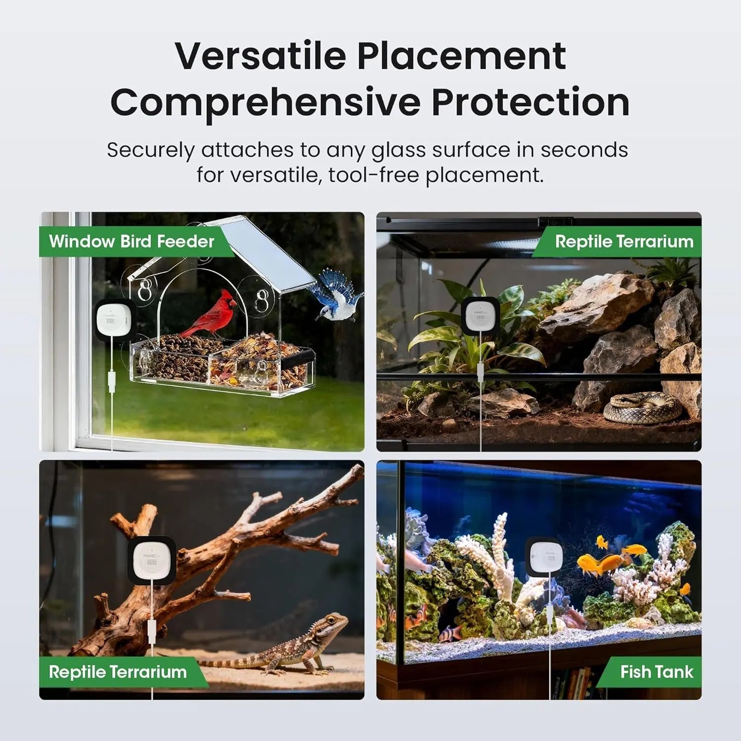 3MP 2K Aquarium & Terrarium Pet Camera w/ Night Vision & Smart Alerts - BIG FRENCHIES