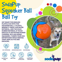 Squeak Ball - Durable Squeaky Dog Toy, Floats, Chew Toy | USA Made - BIG FRENCHIES