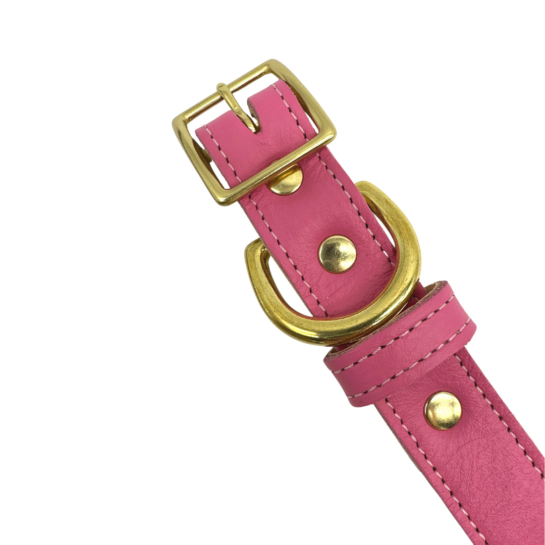 Plain Leather Dog Collar - BIG FRENCHIES