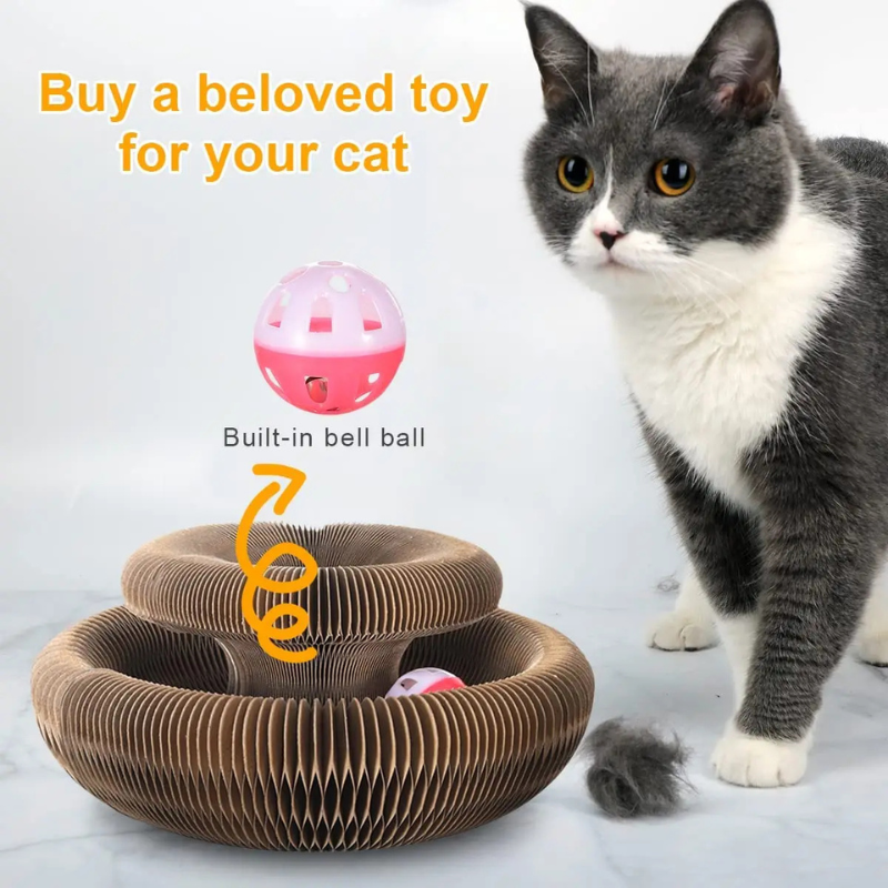 Magic Cat Scratch Toy with Ball – Round Corrugated Claw Board Toy - BIG FRENCHIES