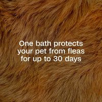 Adams Flea & Tick Cleansing Shampoo 12oz Kills Pet Fleas Ticks Eggs & Lice