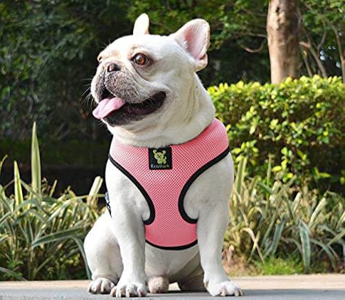 EcoBark Bubblegum Pink Dog Harness - Over-the-Head Dog Vest Halter for Small to Medium Dogs and Puppies - BIG FRENCHIES