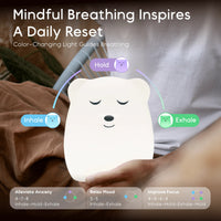 Breathing Pal 'Ted' The Bear - BIG FRENCHIES