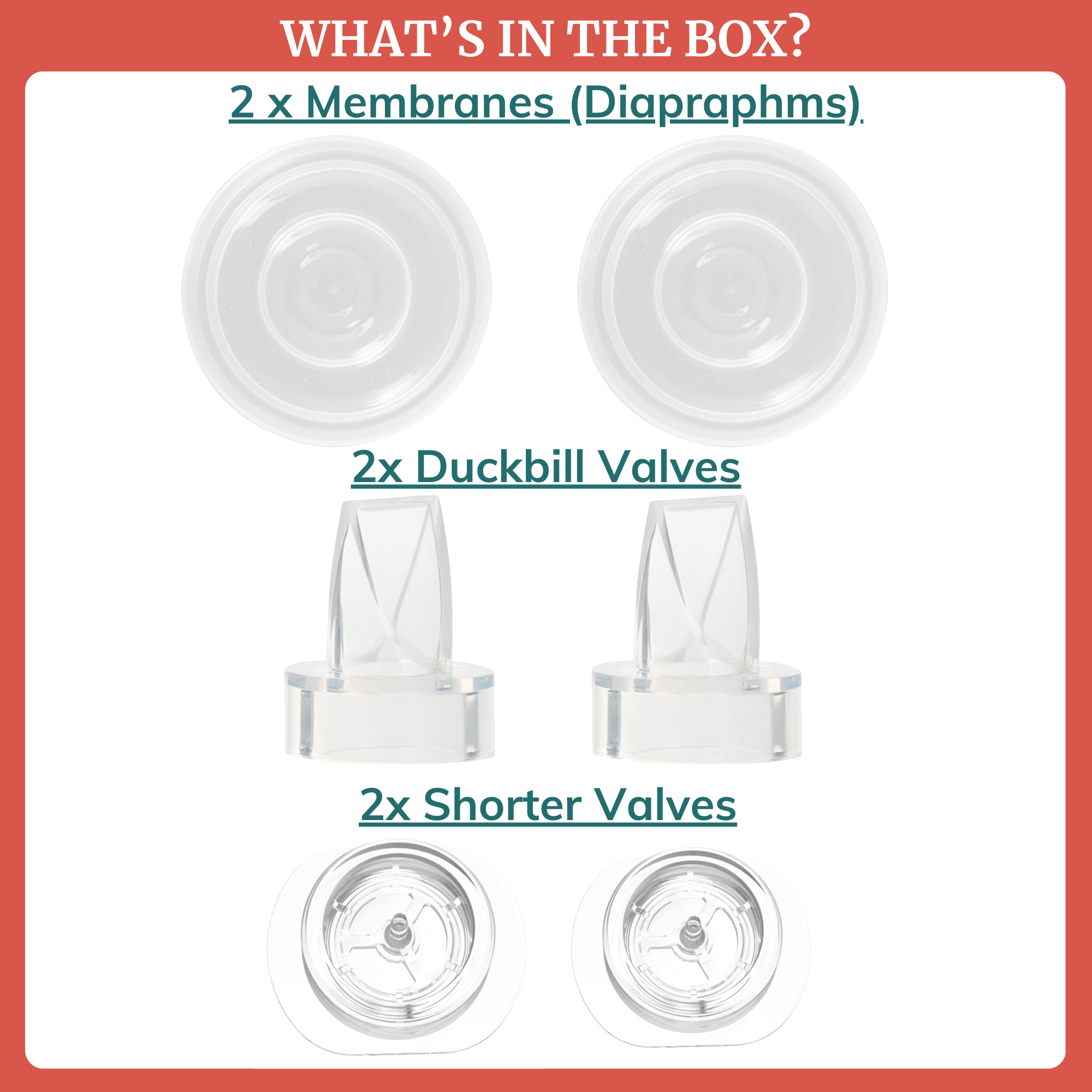 Duckbill Valves & Membranes for Wearable Breast Pumps