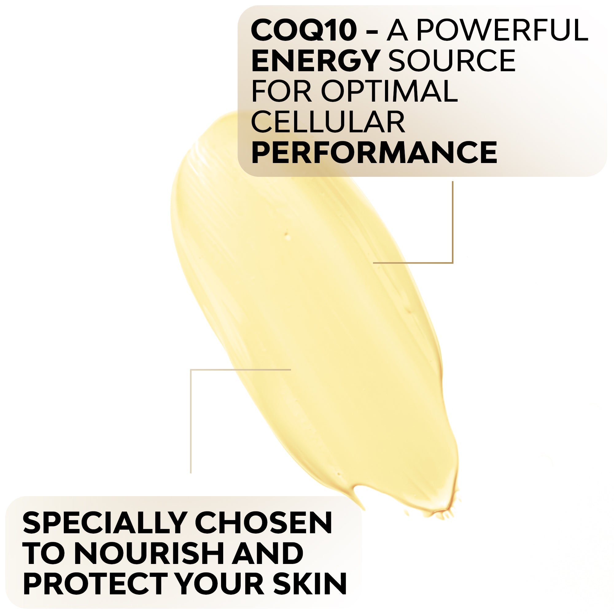 CoQ10 Age Defying Lotion - BIG FRENCHIES