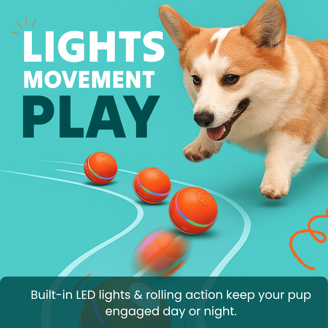 DOG’S INTERACTIVE BALL