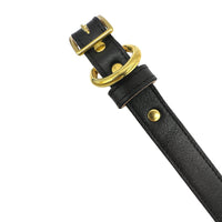 Plain Leather Dog Collar - BIG FRENCHIES