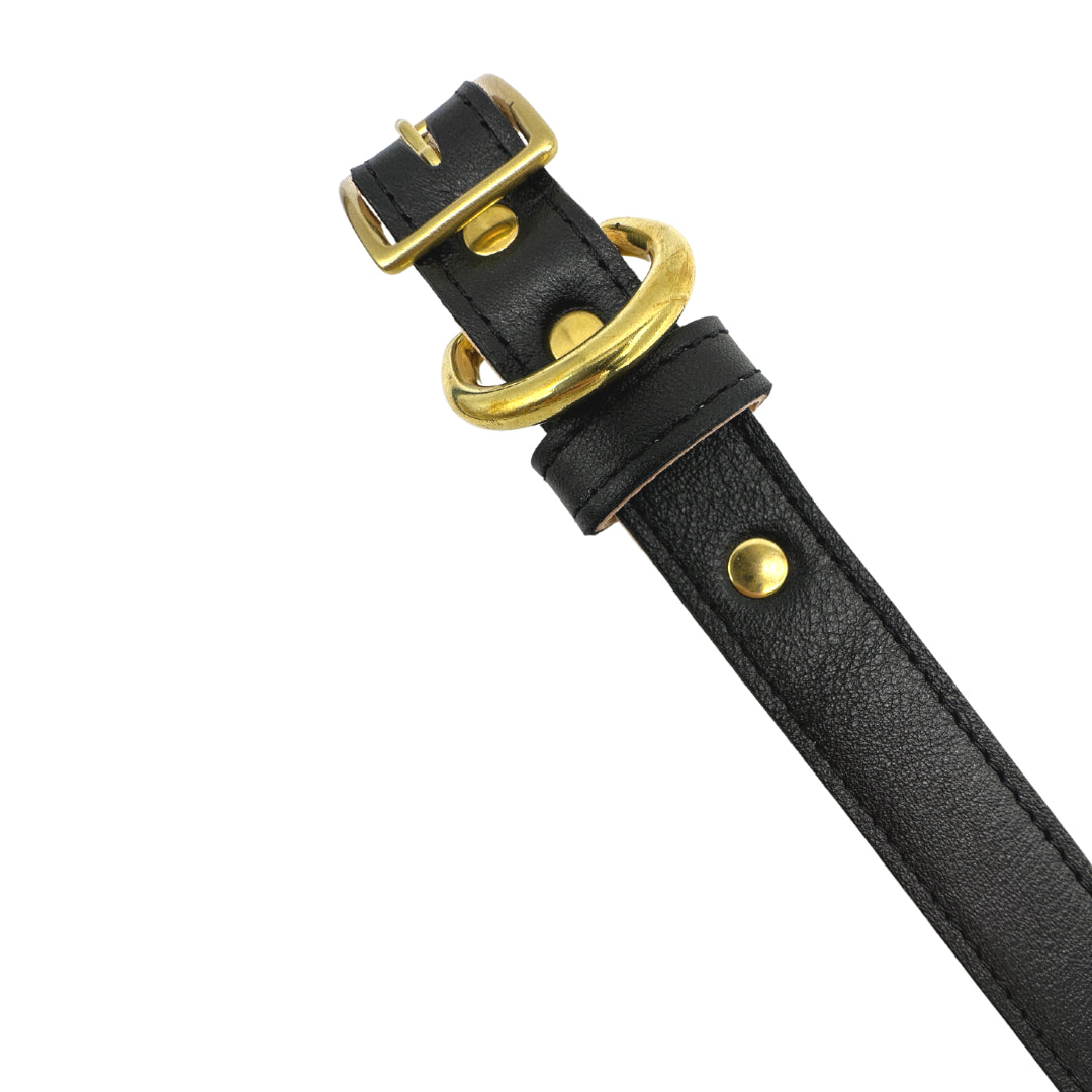 Plain Leather Dog Collar - BIG FRENCHIES