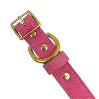 Plain Leather Dog Collar - BIG FRENCHIES