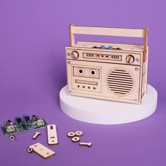 60 Seconds Voice Recorder DIY Kit, Educational STEM Toy - BIG FRENCHIES