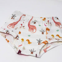 Rose Dinosaur Family Potty Training Pants - BIG FRENCHIES