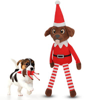 Pooch on a Perch – Christmas Elf Dog Toy with Squeaker & Crinkle Paper