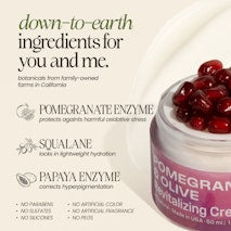 Pomegranate & Olive Squalane Cream - BIG FRENCHIES