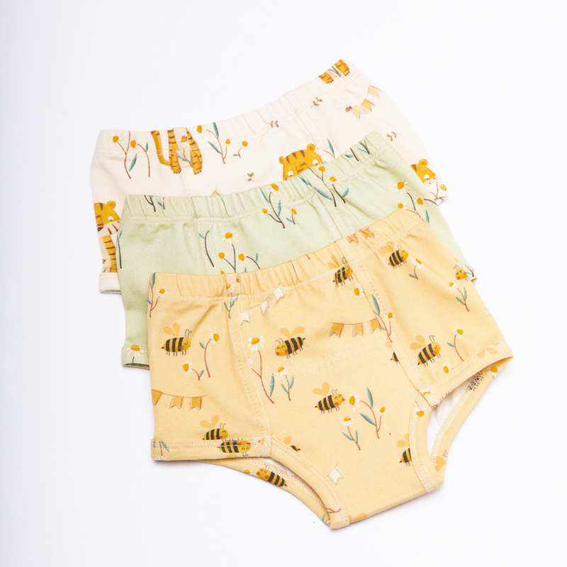 Bundle of Floral Potty Training Underwear (3 Pack) - BIG FRENCHIES