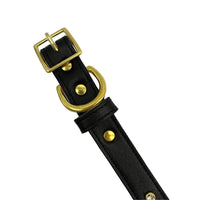 Plain Leather Dog Collar - BIG FRENCHIES