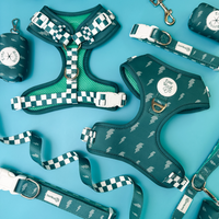 Thunderstruck Leash