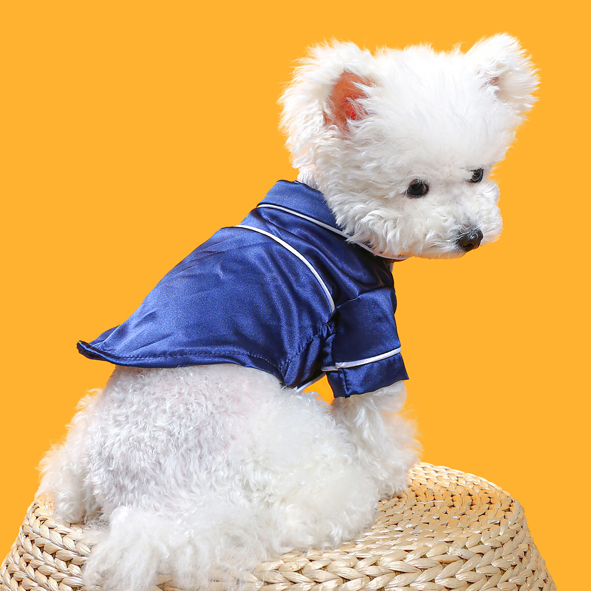 Luxury Soft Silk Pajamas - BIG FRENCHIES